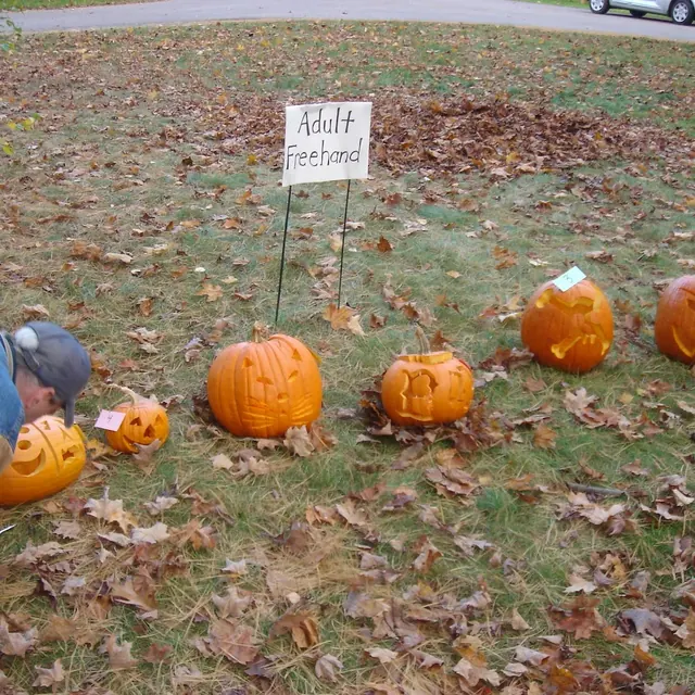 The Adult Freehand row on a leaf-covered lawn