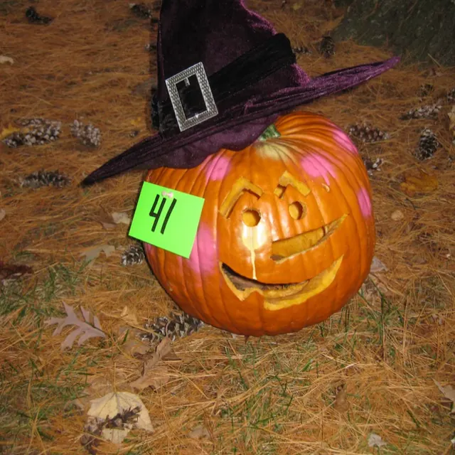 A carved jack-o’-lantern in a purple witch hat with tag number 41, sitting on pine needles