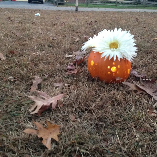 A glowing pumpkin topped with a giant white daisy
